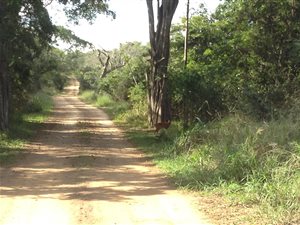 2 ha Land available in Monzi