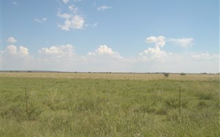 838 ha Land available in Boshof