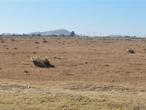 2.3 ha Land available in Nelsonia