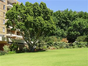 3 Bed Apartment in Newlands Upper