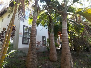 3 Bed House in Palm Beach