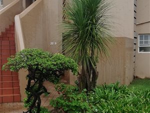 1 Bed Apartment in Allens Nek