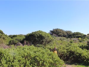 903 m² Land available in St Francis Bay