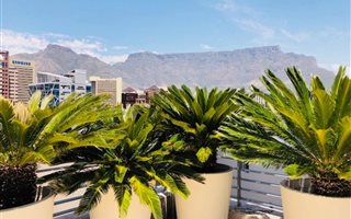3 Bedroom Apartment in De Waterkant