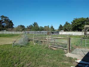 4480 m² Farm in Joostenberg Vlakte