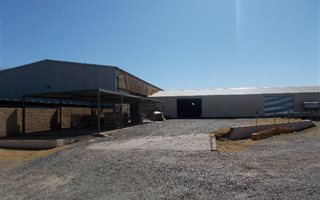 9560 m² Industrial space in Meyerton