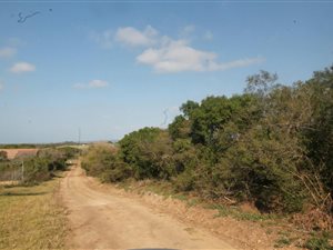 4283 m² Land available in Bathurst and Surrounds