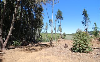 4.5 ha Land available in Hogsback