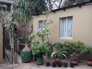 2 Bed Garden Cottage in Louis Trichardt