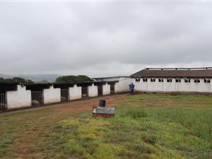41 ha Farm in Richmond