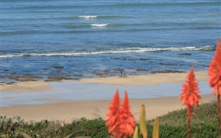 784 m² Land available in Paradise Beach
