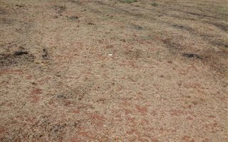 805 m² Land available in Serala View