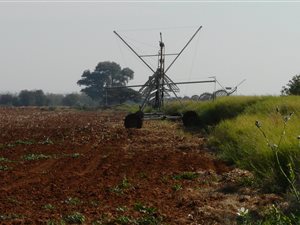 77 ha Farm in Magogong