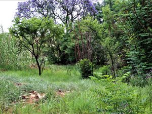 665 m² Land available in Cullinan