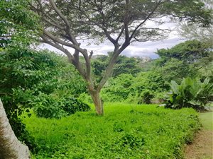 722 m² Land available in Princes Grant Golf Estate