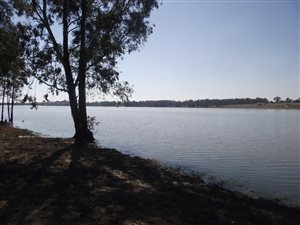 4 ha Farm in Oranjeville