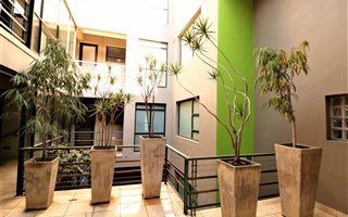 2 Bedroom Apartment in Greenside