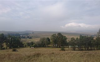 657 ha Farm in Harrismith