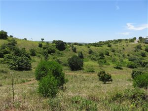 1618 m² Land available in Mtunzini