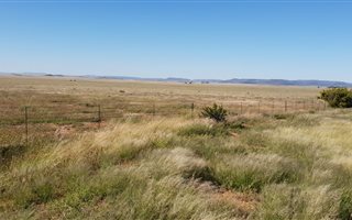 1070 ha Farm in Edenburg