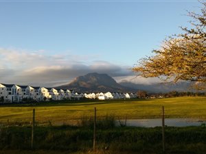 1 Bed Apartment in Somerset West Central