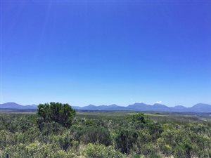300 m² Land available in Gondwana Game Reserve