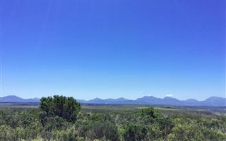 300 m² Land available in Gondwana Game Reserve