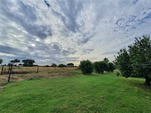 2.1 ha Farm in Rosashof