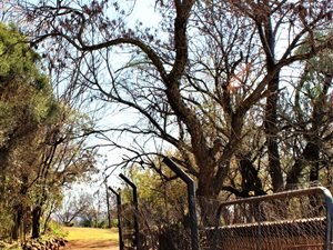 5 ha Farm in Zwavelpoort