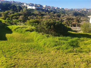 839 m² Land available in Dana Bay