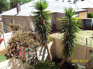 3 Bed Duplex in Selection Park