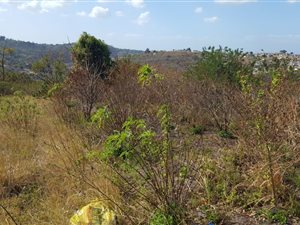 650 m² Land available in Shallcross