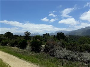 3 ha Land available in Hoekwil