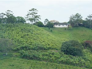 5.5 ha Farm in Sea Park