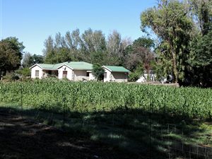 17.5 ha Farm in Ventersdorp