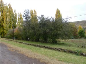 535 m² Land available in Rhodes