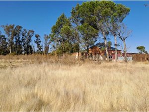 1 ha Farm in Lakeview