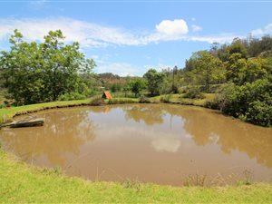2.6 ha Farm in Ruiterbos