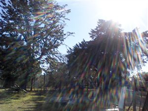 8.2 ha Land available in Greenbushes
