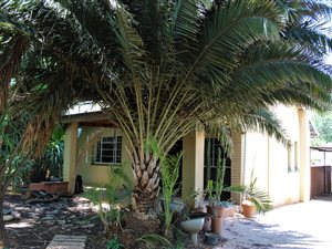 3 Bed House in Cullinan
