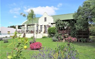 3 Bedroom House in Napier