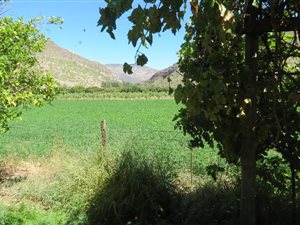 2.6 ha Farm in Prince Albert