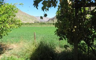 2.6 ha Farm in Prince Albert