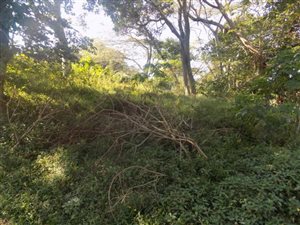1850 m² Land available in Pumula