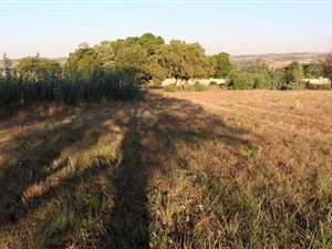 5000 m² Land available in Zwavelpoort