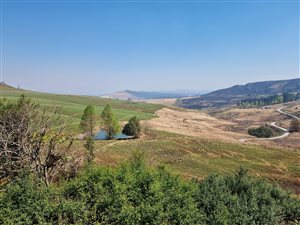 12.7 ha Farm in Howick