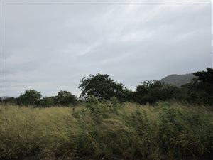 3400 m² Land available in Kampersrus AH