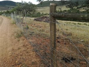 90 ha Farm in Swellendam