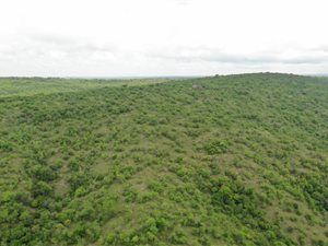 692 ha Farm in Polokwane Central
