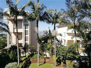 2 Bed Apartment in Morningside